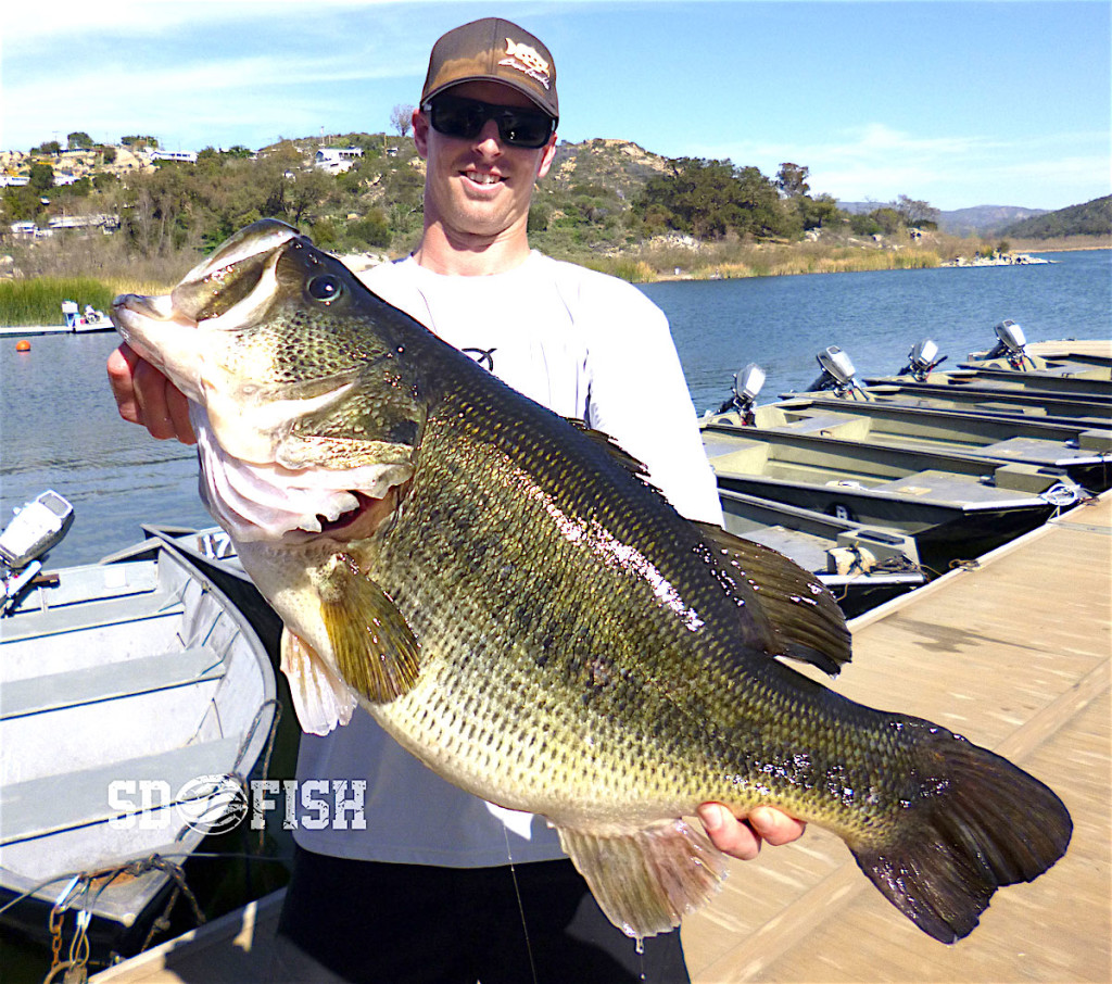 MONSTER ALERT! 16.3pound bass caught at Lake Wohlford