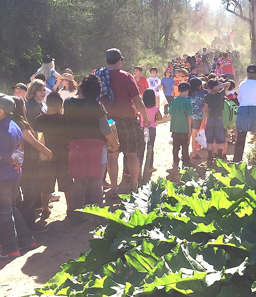 Students head back to class, looking like an army, some said.