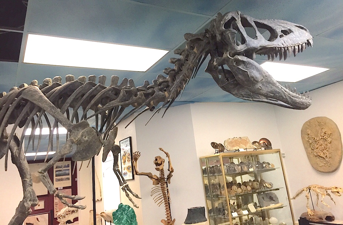 Idiosyncratic Dinosaur 'museum' Going Extinct | Escondido Grapevine