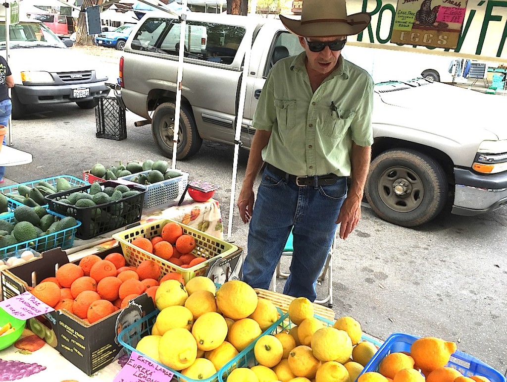 Robert Meyers of Roots N' Fruits at Escondido Farmer's Market last week