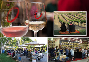 Orfila Vineyards & Winery presents Tunes on the Terrace.