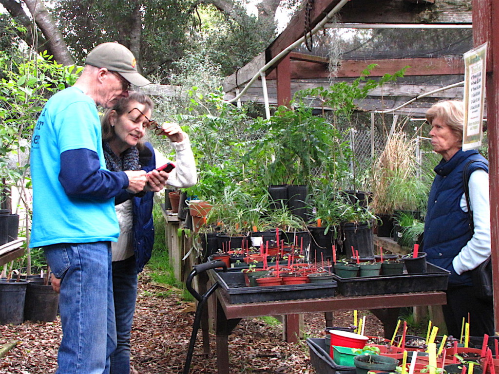 Get ready for the Dos Valles Garden Club 2016 Flower & Horticulture Show.