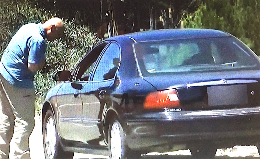 Investigators examine the dead woman's car.